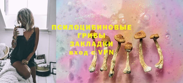 шишки Кинешма